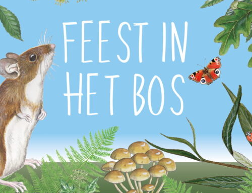 Kinderwedstrijd Feest in ’t Bos