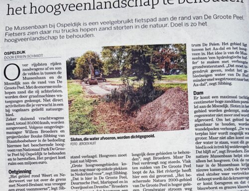 In ’t nieuws…. Dagblad De Limburger