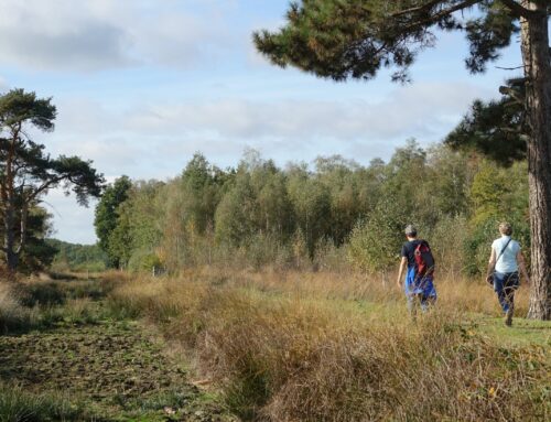 13 oktober | In het spoor van de turfsteker