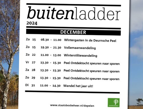 Beleef de Pelen in december