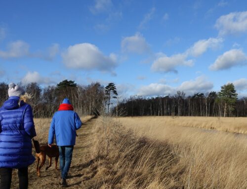 12 januari | Peeltocht door het nationaal park