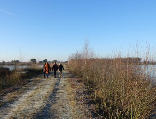 9 februari | Turfstekerstocht