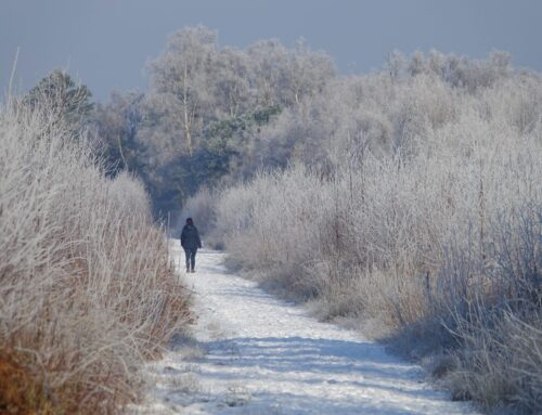 26 januari | Winterse Stiltewandeling